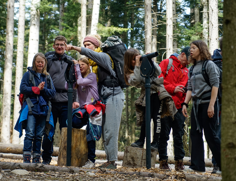 gemischte Jugendgruppe blickt in den Wald